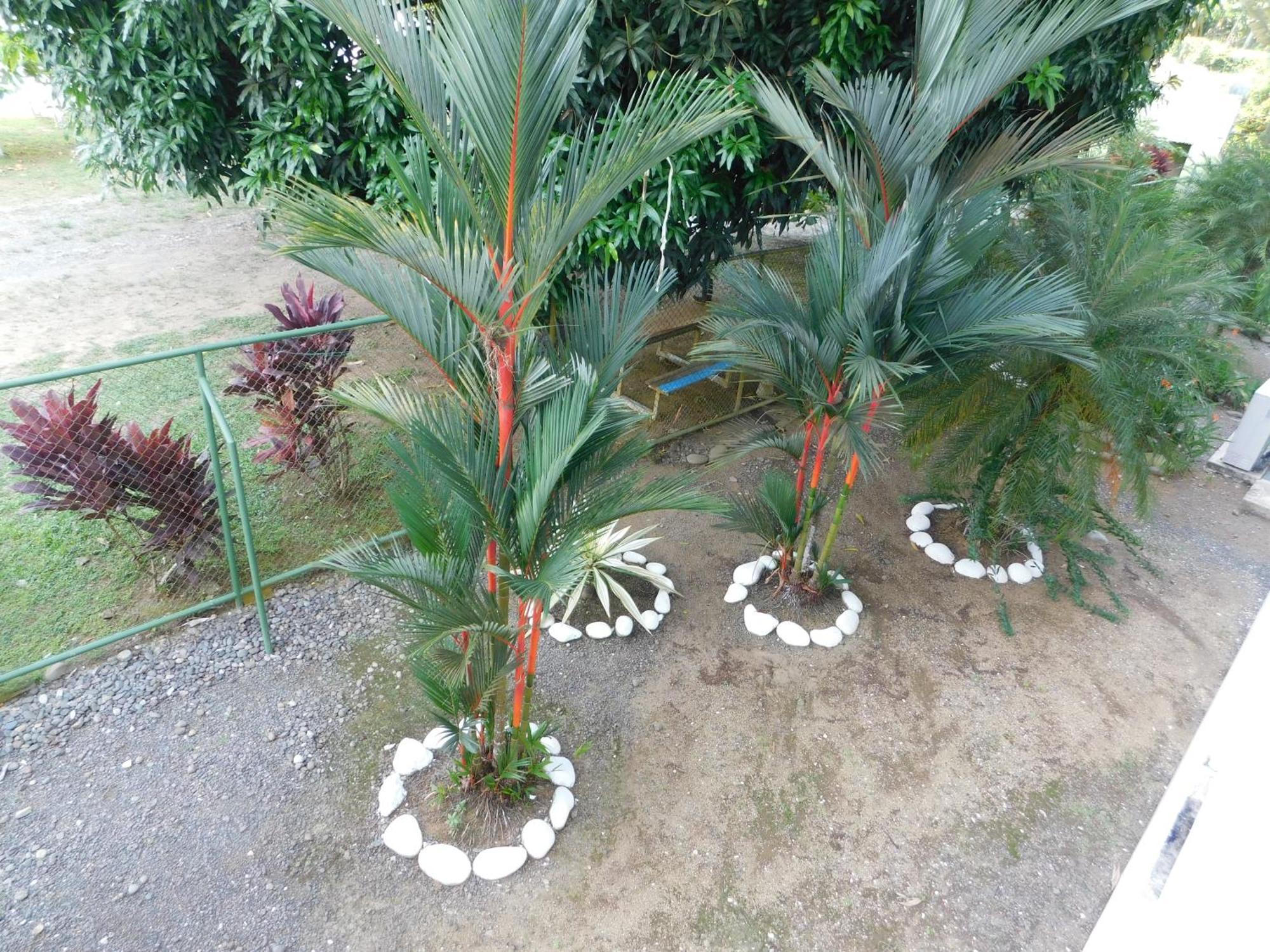 Sunset 205, Sleeps Six, Next Door To The Pool, 100M To The Beach! ฆาโก ภายนอก รูปภาพ