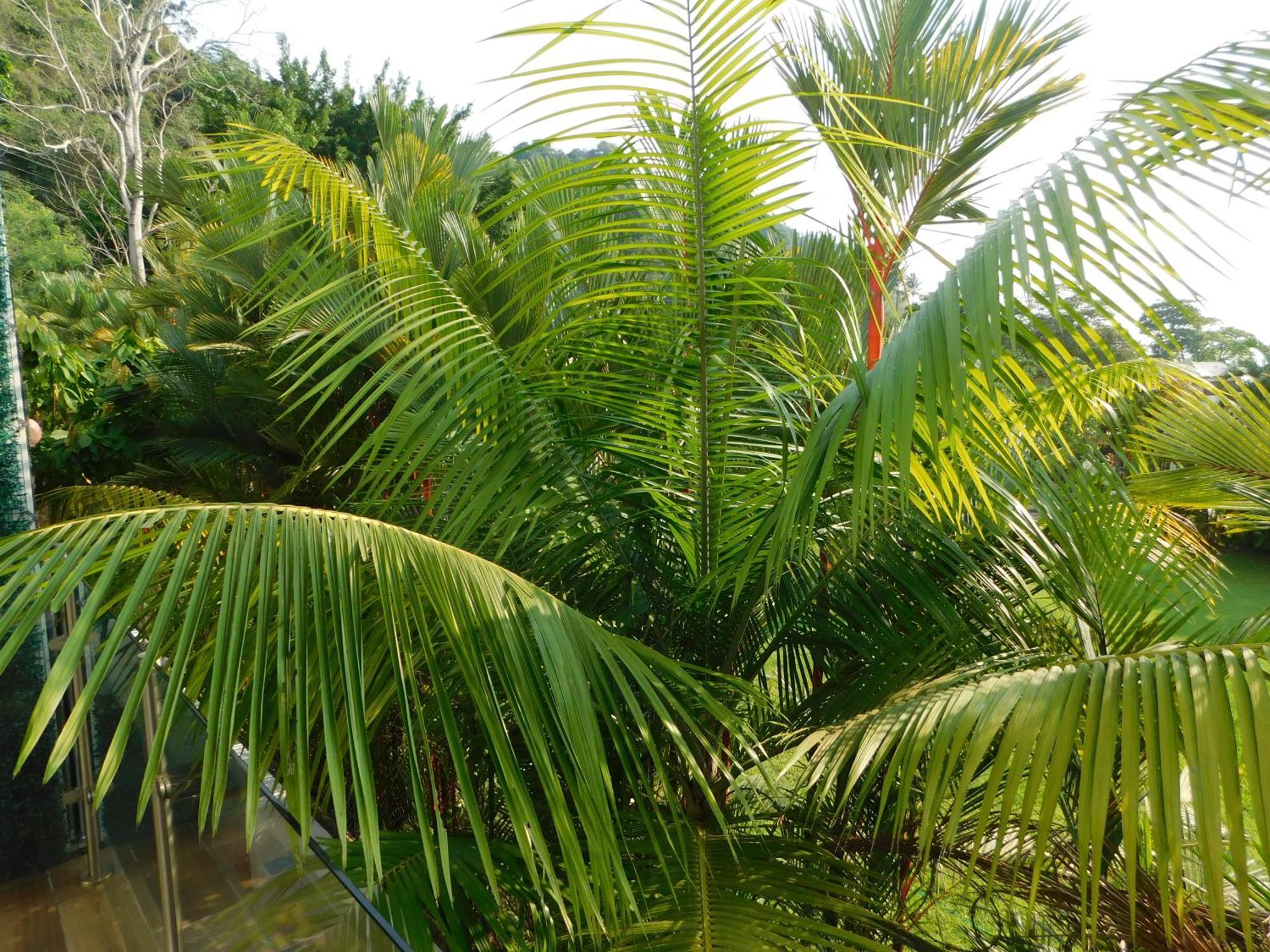 Sunset 205, Sleeps Six, Next Door To The Pool, 100M To The Beach! ฆาโก ภายนอก รูปภาพ