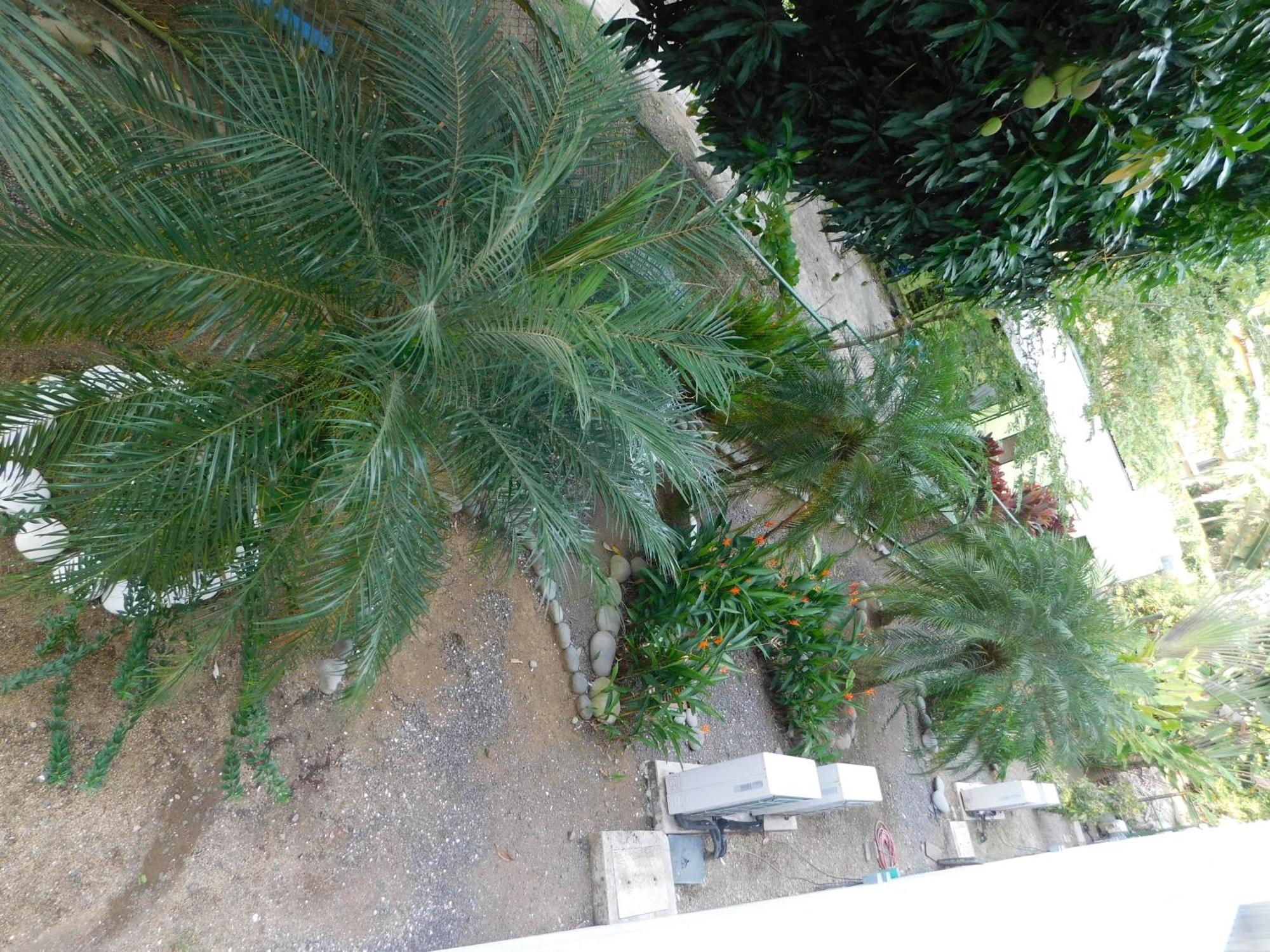 Sunset 205, Sleeps Six, Next Door To The Pool, 100M To The Beach! ฆาโก ภายนอก รูปภาพ